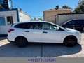 Ford Focus 1,0 EcoBoost  Ambiente Klima SHZ AHK Weiß - thumbnail 8
