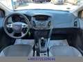 Ford Focus 1,0 EcoBoost  Ambiente Klima SHZ AHK Weiß - thumbnail 10