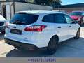 Ford Focus 1,0 EcoBoost  Ambiente Klima SHZ AHK Weiß - thumbnail 6
