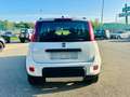 Fiat New Panda 4X4 - KM 0 - 09/2023 ***PROMO*** Bianco - thumbnail 6