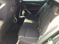 Skoda Octavia 2,0 TDI Style Schwarz - thumbnail 8