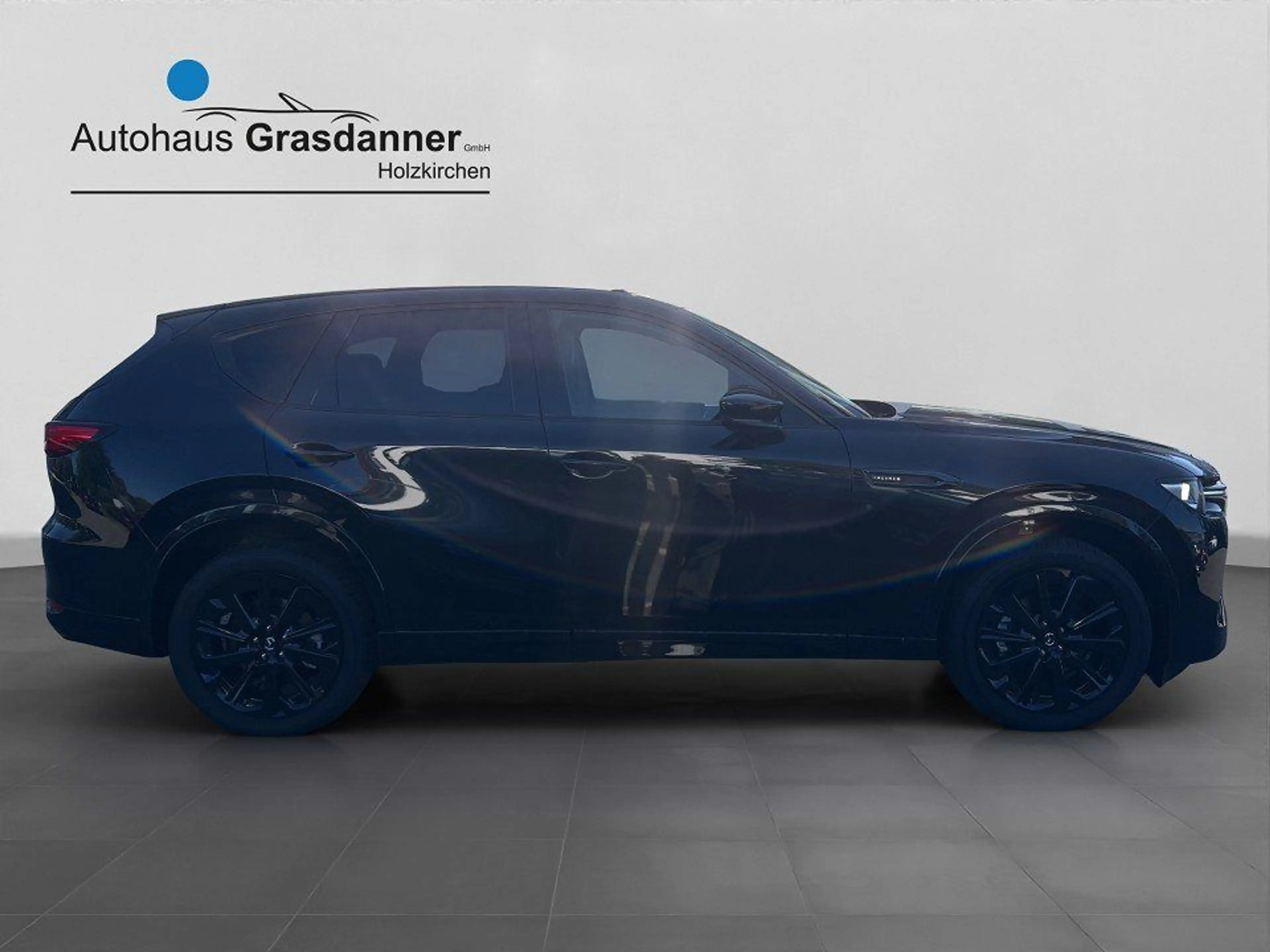 Mazda CX-60 3.3L e-SKYACTIV D 254ps CX-60 Skyactive-D — photo 9