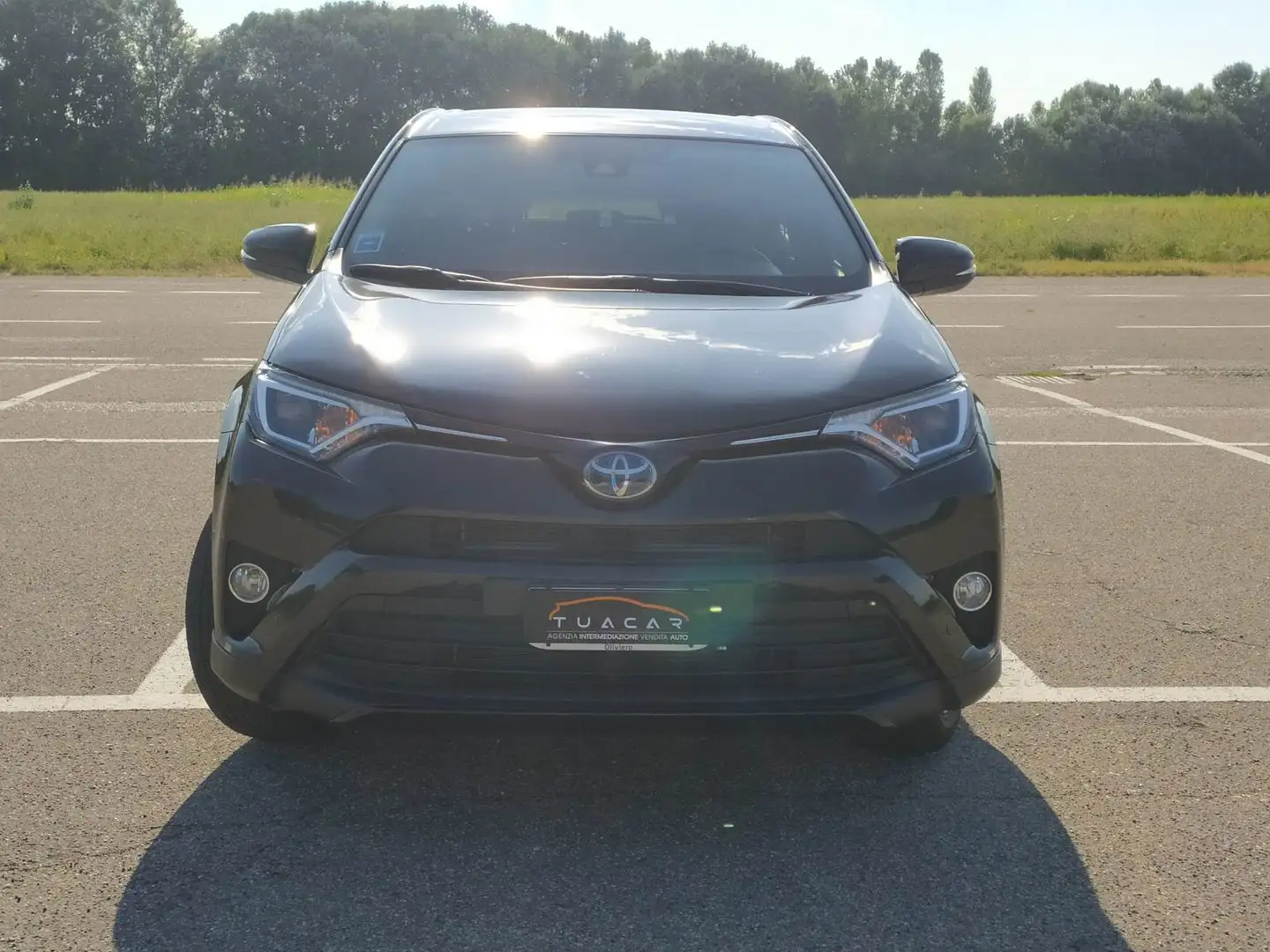 Toyota RAV 4 Dynamic 2.5 HEV Negro - 2