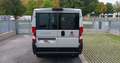 Fiat Ducato 30 2.2 Mjt 140cv Panorama 9 Posti (MOTORE ROTTO) Bianco - thumbnail 5