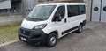 Fiat Ducato 30 2.2 Mjt 140cv Panorama 9 Posti (MOTORE ROTTO) Bianco - thumbnail 3