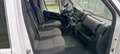 Fiat Ducato 30 2.2 Mjt 140cv Panorama 9 Posti (MOTORE ROTTO) Bianco - thumbnail 11