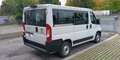 Fiat Ducato 30 2.2 Mjt 140cv Panorama 9 Posti (MOTORE ROTTO) Bianco - thumbnail 6