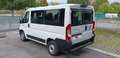 Fiat Ducato 30 2.2 Mjt 140cv Panorama 9 Posti (MOTORE ROTTO) Bianco - thumbnail 4