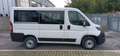 Fiat Ducato 30 2.2 Mjt 140cv Panorama 9 Posti (MOTORE ROTTO) Bianco - thumbnail 7