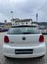 Volkswagen Polo Polo V 2009 5p 1.2 Comfortline 70cv Bianco - thumbnail 5