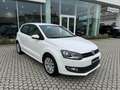 Volkswagen Polo Polo V 2009 5p 1.2 Comfortline 70cv Bianco - thumbnail 3