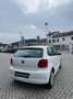 Volkswagen Polo Polo V 2009 5p 1.2 Comfortline 70cv Bianco - thumbnail 4