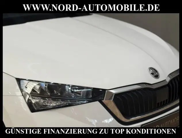 Skoda Scala view 14