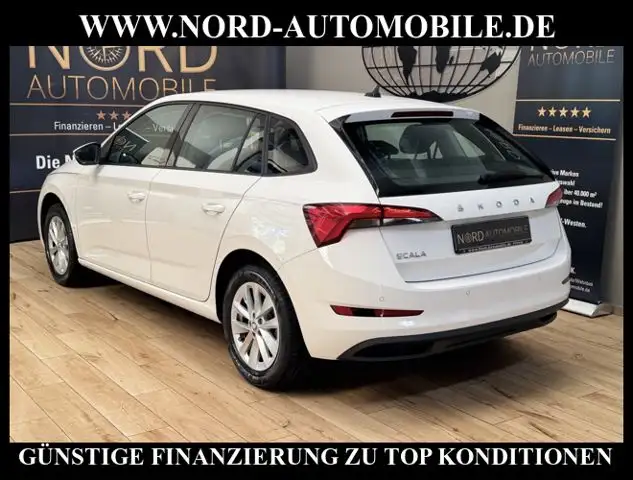 Skoda Scala view 10