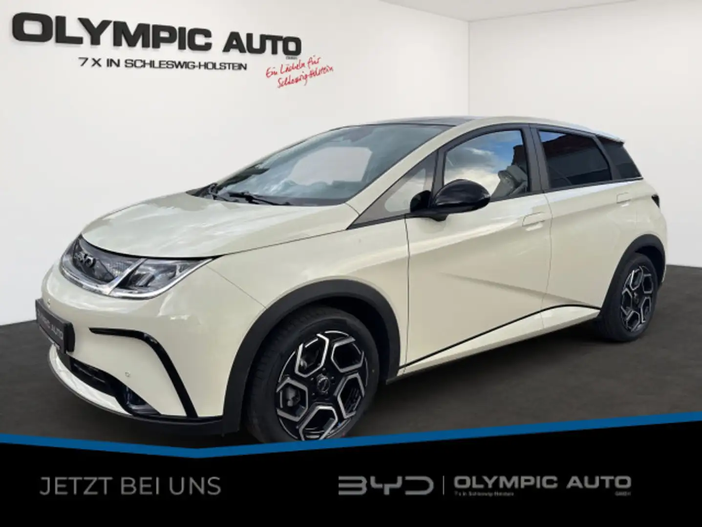 BYD Dolphin Design 60,4kWh 360*Kamera LED SHZ Leder Weiß - 1