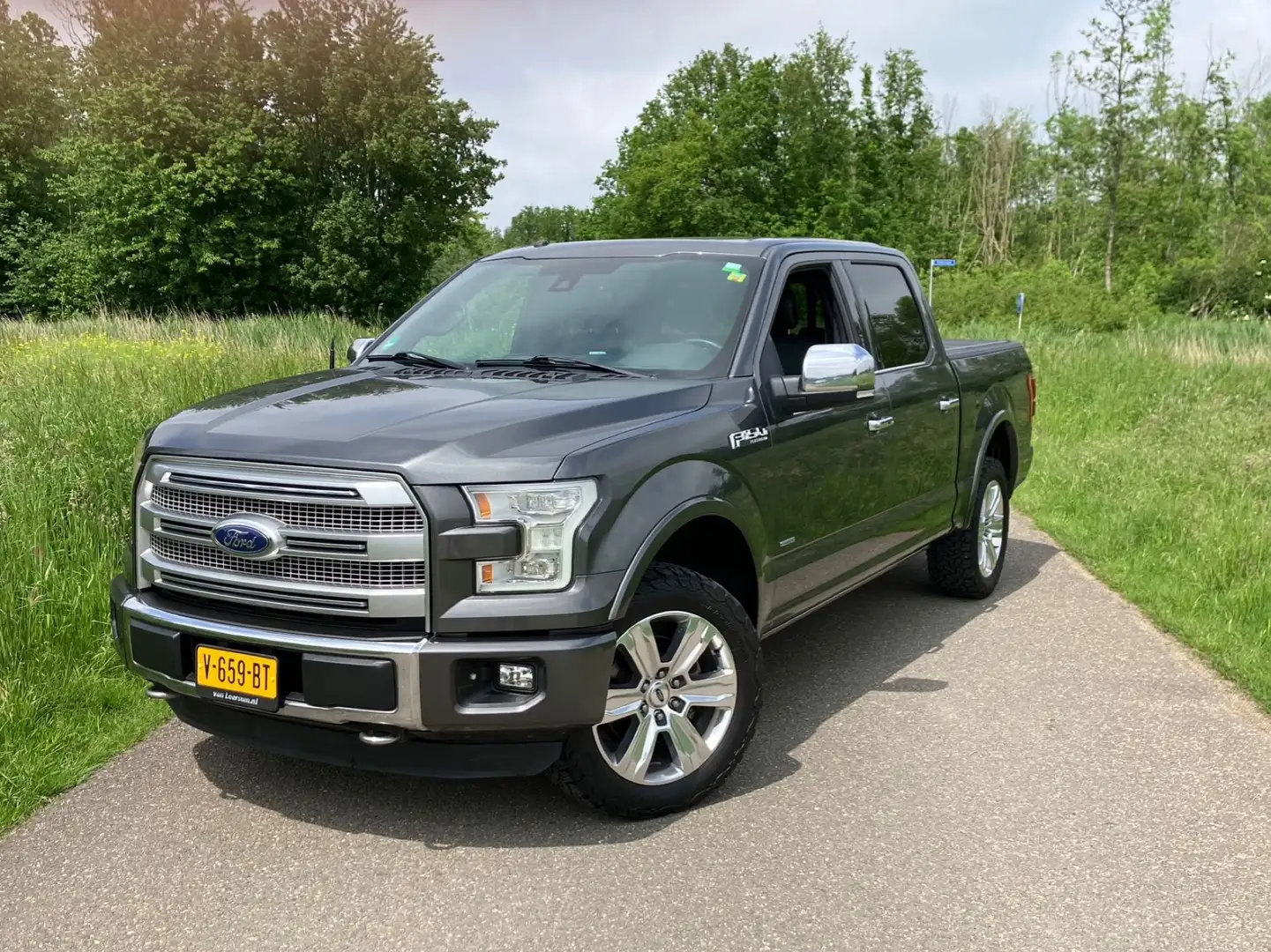 Ford F 150 platinum 3.5 V6 MARGE Gris - 1