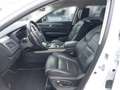 Renault Talisman Grandtour Initiale TCe 225 EDC Weiß - thumbnail 5