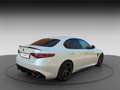 Alfa Romeo Giulia GIULIA 2.9 MT6 QUADRIFOGLIO SAMMLER MANUEL Bianco - thumbnail 7