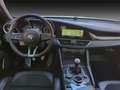 Alfa Romeo Giulia GIULIA 2.9 MT6 QUADRIFOGLIO SAMMLER MANUEL Bianco - thumbnail 9