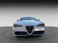 Alfa Romeo Giulia GIULIA 2.9 MT6 QUADRIFOGLIO SAMMLER MANUEL Bianco - thumbnail 3