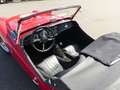 Triumph TR3 Rood - thumbnail 16