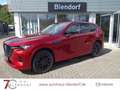 Mazda CX-60 3,3 D HOMURA 200 Leder|BOSE|MatrixLED Rood - thumbnail 1