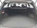 Kia Ceed SW / cee'd SW CEED SW 1.5 T-GDI DCT7 ULTIMATE EDITION MJ25 Wit - thumbnail 15