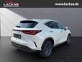 Lexus NX 350h 243 PS - Business Plus Connect - Paket Alb - thumbnail 5