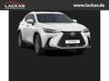 Lexus NX 350h Business Plus Connect - Paket Weiß - thumbnail 1