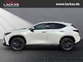 Lexus NX 350h 243 PS - Business Plus Connect - Paket Alb - thumbnail 2