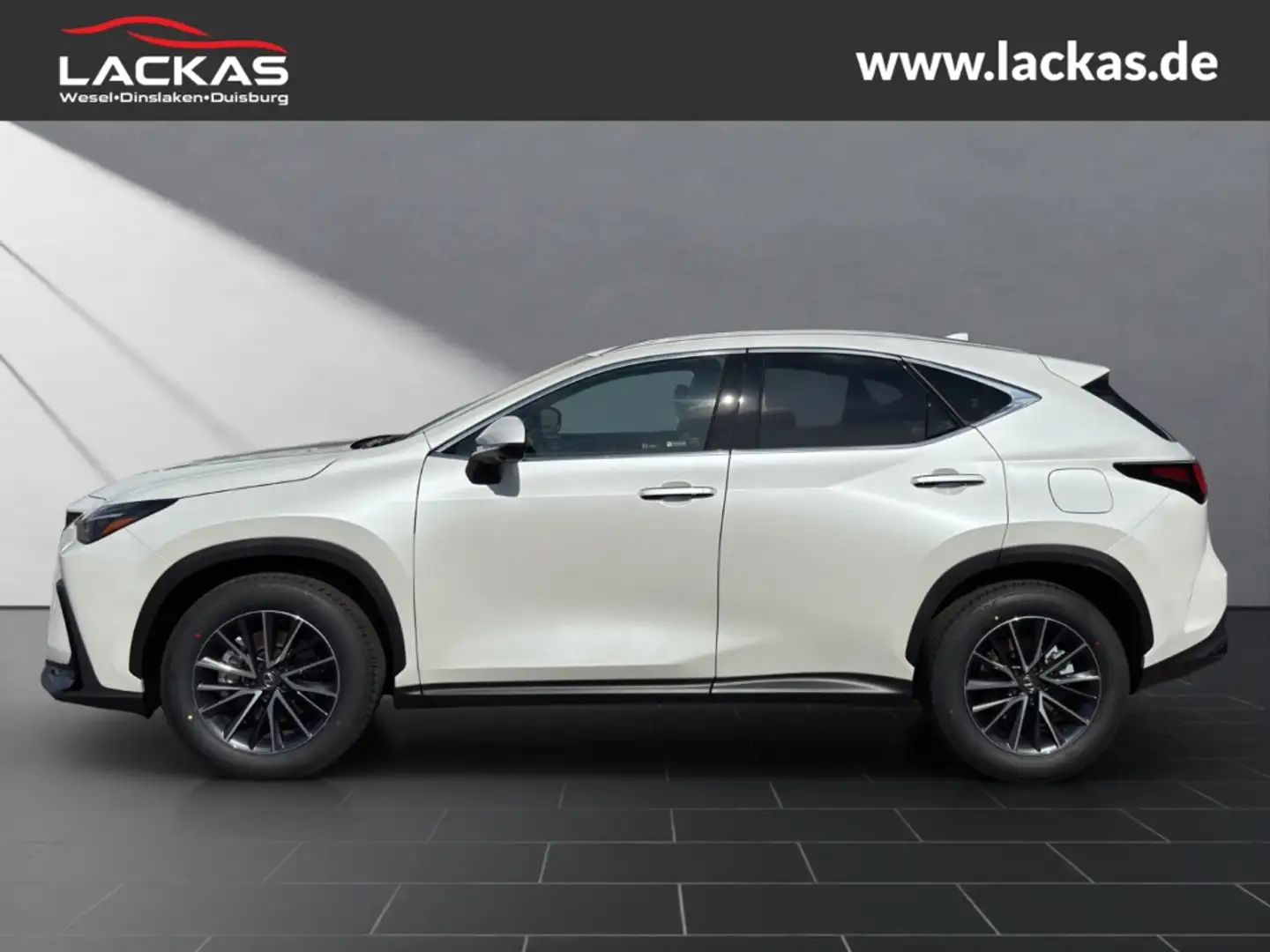 Lexus NX 350h 243 PS - Business Plus Connect - Paket Alb - 2