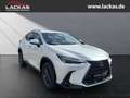 Lexus NX 350h 243 PS - Business Plus Connect - Paket Alb - thumbnail 7