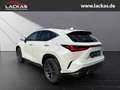 Lexus NX 350h 243 PS - Business Plus Connect - Paket Alb - thumbnail 3