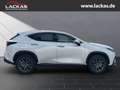 Lexus NX 350h 243 PS - Business Plus Connect - Paket Alb - thumbnail 6