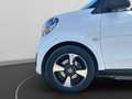 smart forTwo eq Pulse 4,6kW Blanc - thumbnail 16