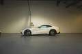 Ferrari F12 *Bianco Avus / Historique 100% Ferrari* Weiß - thumbnail 4