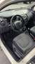 Renault Captur 1.5dci 90cv pronta all immatricolazione-neopat. Beige - thumbnail 12