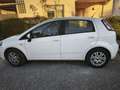 Fiat Punto 1.2 8v Easy 69 CV Gasolina S&S Blanco - thumbnail 7