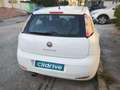 Fiat Punto 1.2 8v Easy 69 CV Gasolina S&S Blanco - thumbnail 6