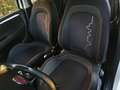 Fiat Punto 1.2 8v Easy 69 CV Gasolina S&S Blanco - thumbnail 11