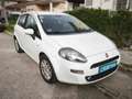 Fiat Punto 1.2 8v Easy 69 CV Gasolina S&S Blanco - thumbnail 5