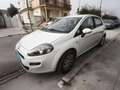 Fiat Punto 1.2 8v Easy 69 CV Gasolina S&S Blanco - thumbnail 2