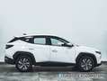 Hyundai TUCSON 1.6T 118KW MAXX 160 5P Blanco - thumbnail 5