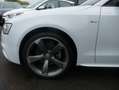 Audi A5 Sportback 2.0 TDI Quattro S-Line S-Tronic Xenon Na Weiß - thumbnail 18