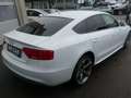 Audi A5 Sportback 2.0 TDI Quattro S-Line S-Tronic Xenon Na Weiß - thumbnail 5