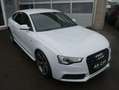 Audi A5 Sportback 2.0 TDI Quattro S-Line S-Tronic Xenon Na Weiß - thumbnail 3