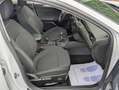 Ford Focus Sportbreak 1.5Ecoblue Titanium Blanco - thumbnail 8