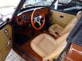 Triumph TR6 in außergewöhnlicher Farbkombi Brun - thumbnail 7