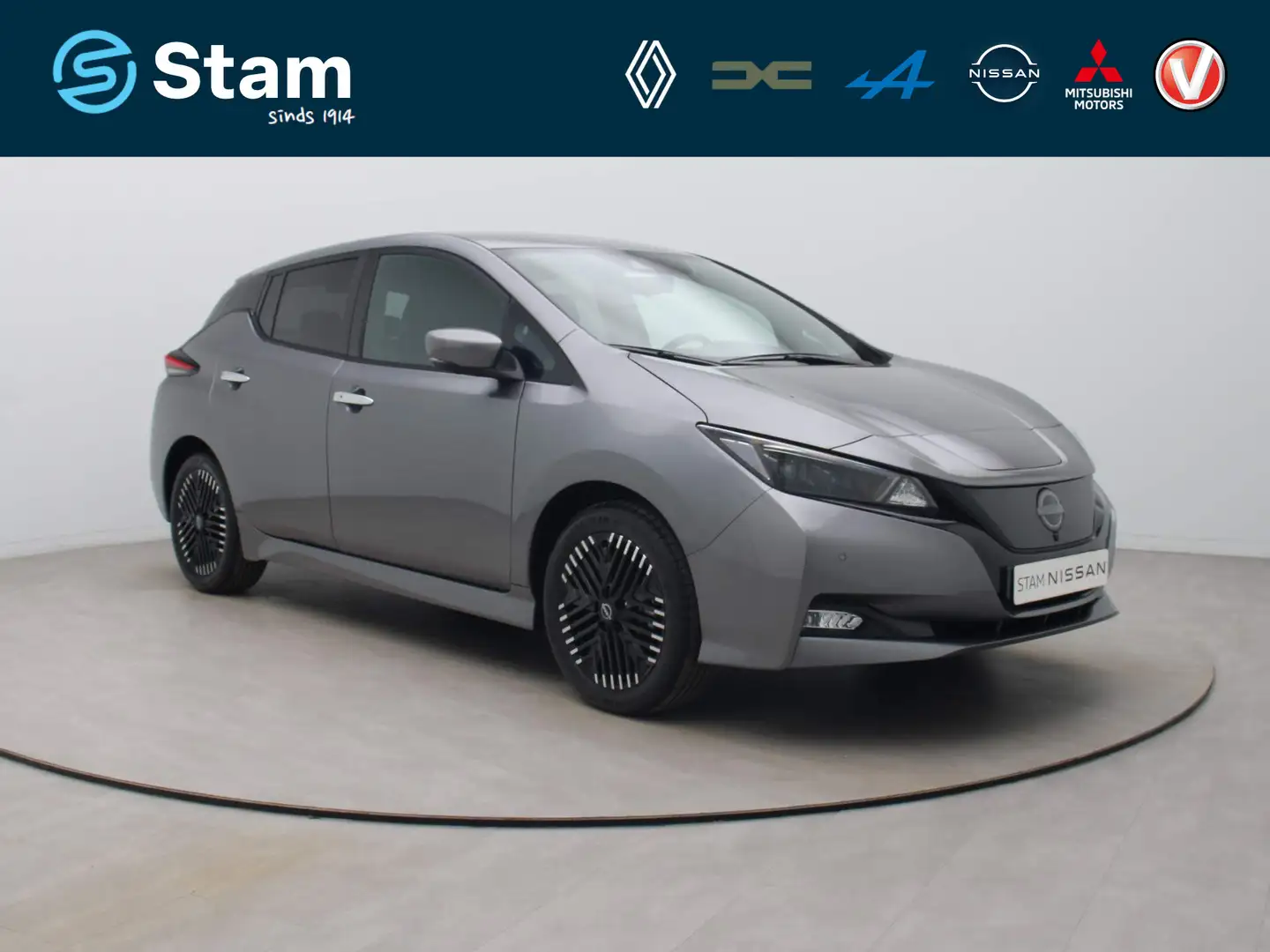 Nissan Leaf Tekna 39 kWh 360° Camera | Adapt. cruise | BOSE | Grijs - 1