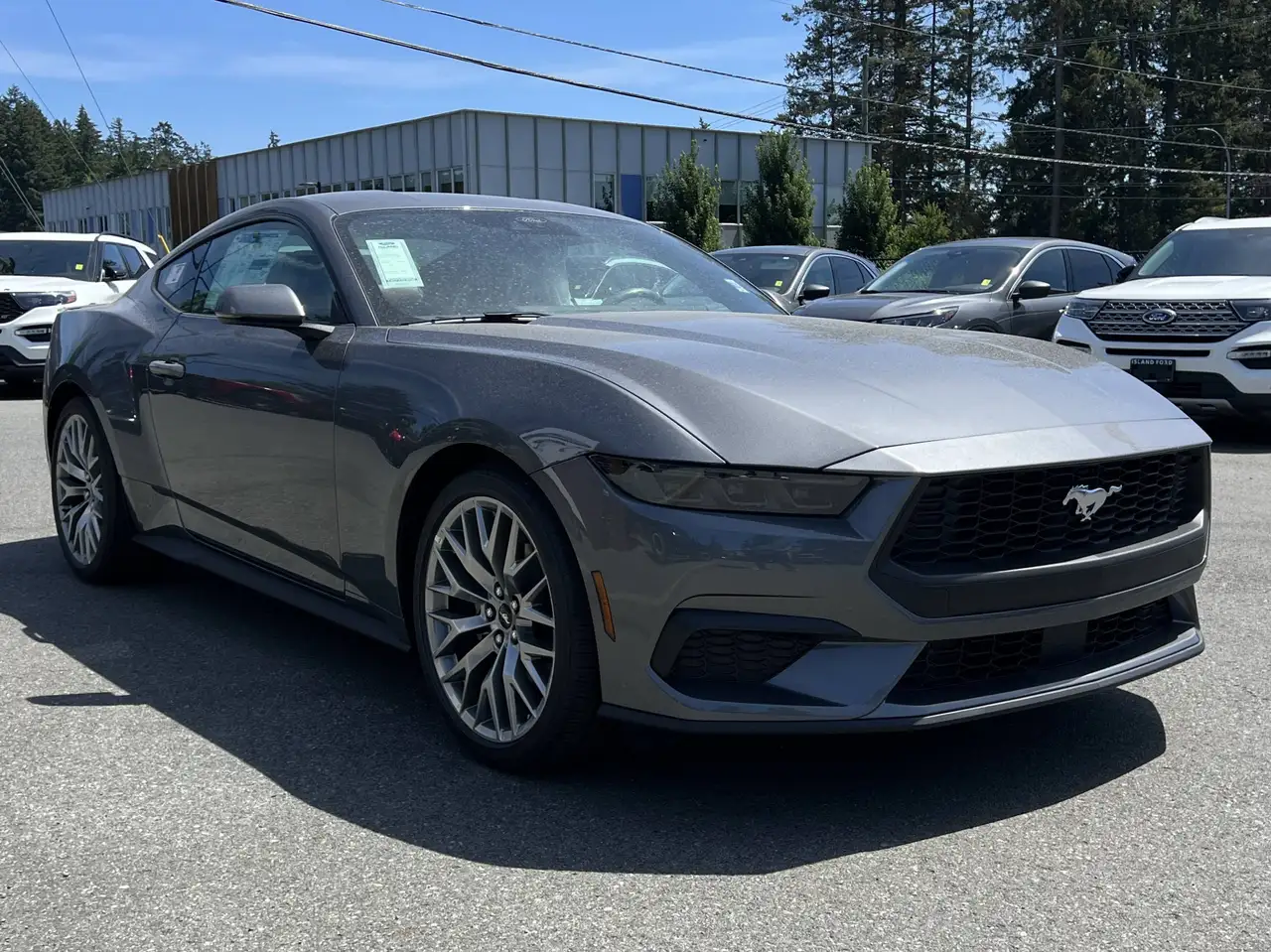 Ford Mustang fotografie Ford Mustang